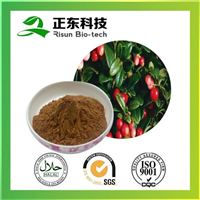 玫瑰果提取物 
