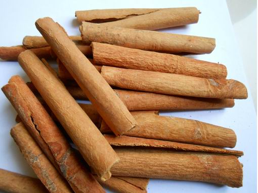 西安肉桂提取物_西安植物提取物出厂价格