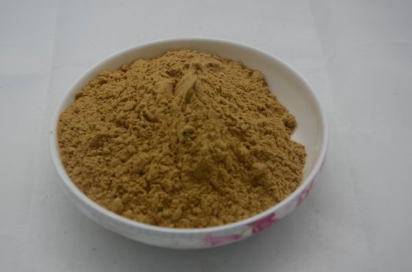 西安黄芪提取物|西安黄芪多糖提取物