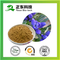 龙胆提取物 