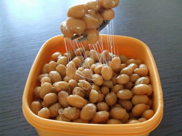 西安纳豆提取物-西安植物提取物生产商