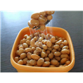 西安纳豆提取物-西安植物提取物生产商