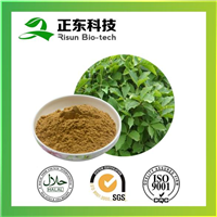 刺五加提取物