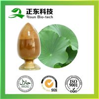 荷叶提取物