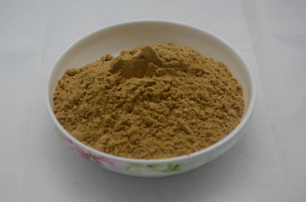 西安娑罗果提取物【西安植物提取物】