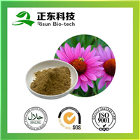 紫锥菊提取物
