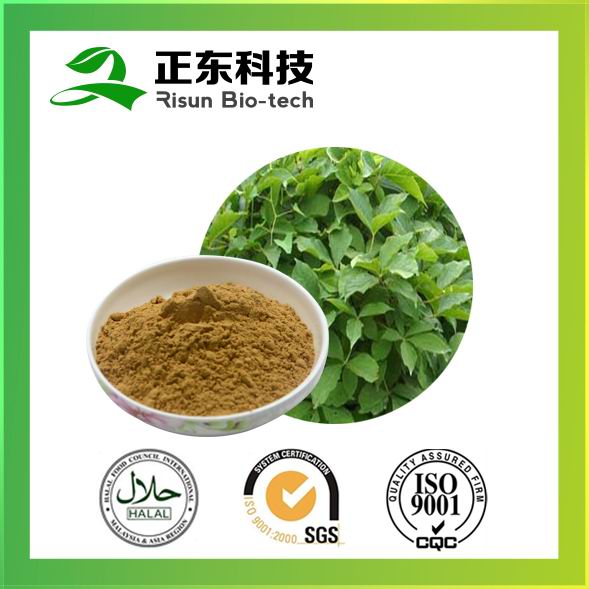 刺五加提取物