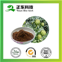 朝鲜蓟提取物
