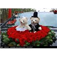 婚车5 