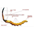 海口回收冬虫夏草 