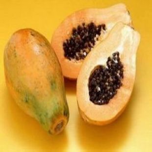 云南木瓜苗批发，云南木瓜苗，昆明木瓜苗