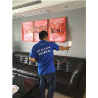 芜湖滨江世茂甲醛治理现场
