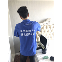 张家山**城甲醛检测