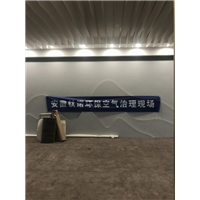 芜湖安展蔚然家园售楼处治理 