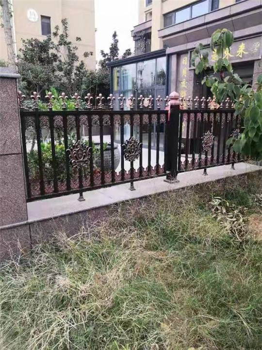 定陶府前一品 