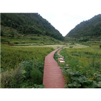 贵州蜜蜂养殖-贵州蜂群出售23