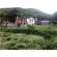 贵州蜜蜂养殖-贵州蜂群出售30