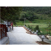 贵州蜜蜂养殖-贵州蜂群出售14