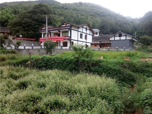 贵州蜜蜂养殖-贵州蜂群出售30