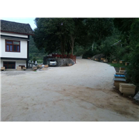 贵州蜜蜂养殖-贵州蜂群出售18