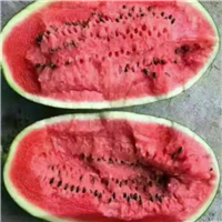 内蒙西瓜批发#Z%库伦西瓜代办