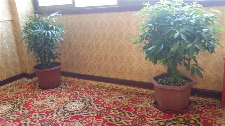 林芝**的宾馆 