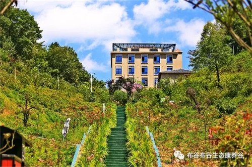 曾家山布谷布谷酒店除甲醛