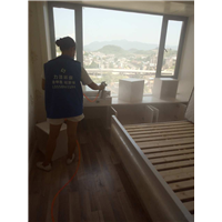 广元下西维多利亚温泉王先生家除甲醛