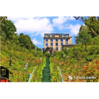 曾家山布谷布谷酒店除甲醛