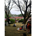 柳州起重吊装公司18107723839