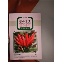 山东天宇辣椒种子哪家好