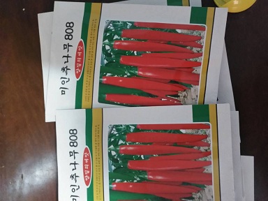 山东美人椒种子价格