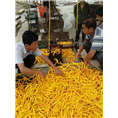 菏泽线椒**价格|曹县线椒种植基地