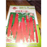 菏泽三樱辣椒种子销售/山东三樱辣椒种子价格