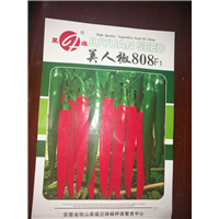 山东曹县艳红辣椒种子经销商