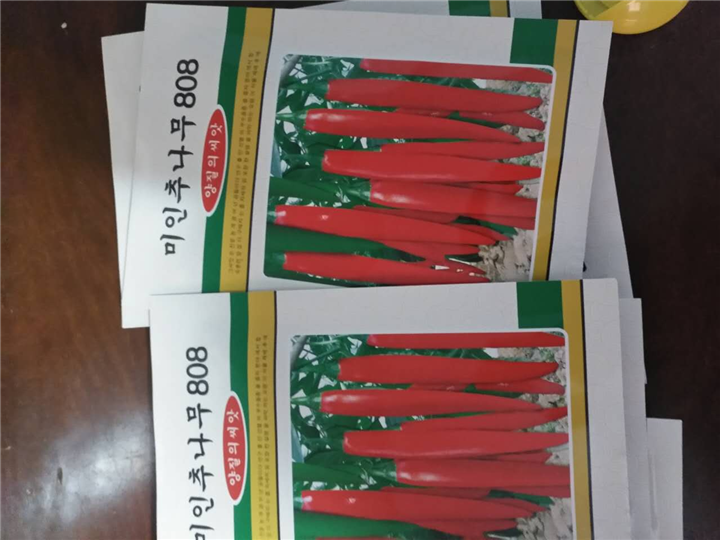 山东美人椒种子销售