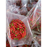 菏泽泡椒批发商|泡椒生产厂家电话