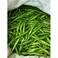 山东菜椒批发商|山东菜椒销售电话