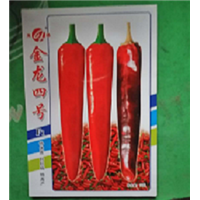 金塔辣椒种子销售 
