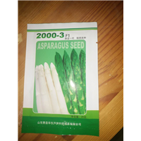 菏泽天宇三号种子销售电话
