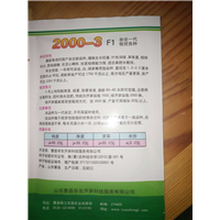 山东艳红辣椒种子经销商