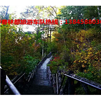 伊春旅游包车#伊春租车http://www.ycbcfw.jqw.com 