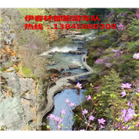 伊春冬季雾凇美景 伊春包车旅游攻略 伊春自由行包车 