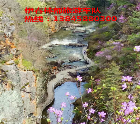伊春冬季雾凇美景 伊春包车旅游攻略 伊春自由行包车 