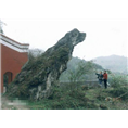 賨人谷农家乐|賨人谷客栈