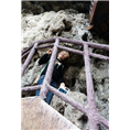 賨人谷旅游住宿|渠县賨人谷客栈 