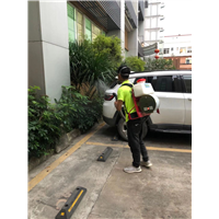 黄阁镇灭白蚁
