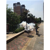 化龙镇灭白蚁⊕ 石楼镇灭白蚁