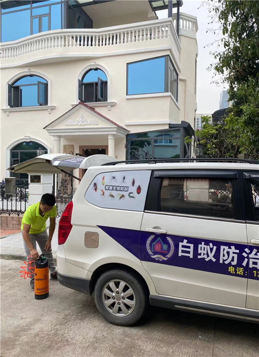 东环灭白蚁