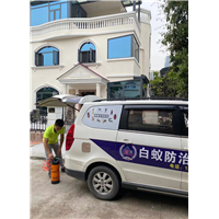 东环灭白蚁
